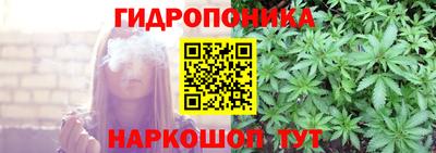 молекула духа Обнинск