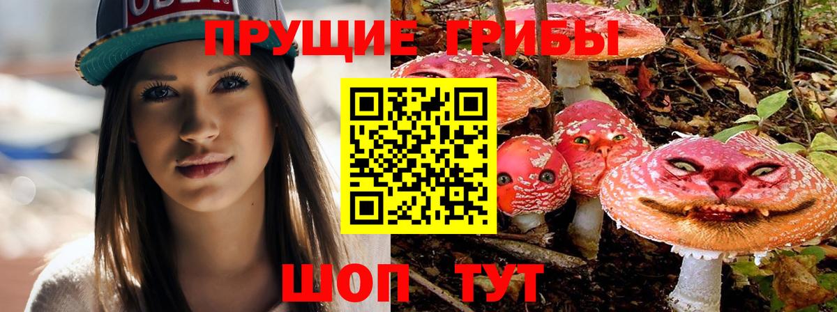как найти   Псилоцибиновые грибы Magic Shrooms  Галлюциногенные грибы Psilocybe  Вход с VPN  Тольятти 